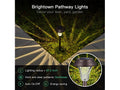 Brightown Solar Pathway Lights (8-Pack)
