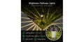 Brightown Solar Pathway Lights (8-Pack)