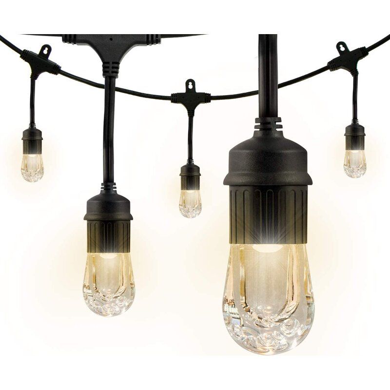 Enbrighten Classic Café String Lights (48ft)
