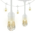 Enbrighten Classic Café String Lights (48ft)