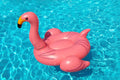 Swimline Giant Flamingo Pool Float