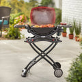 Weber Q1200 Portable Gas Grill